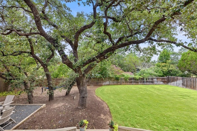 300 Errol Dr, Spicewood, TX 78669 - view of fenced backyard