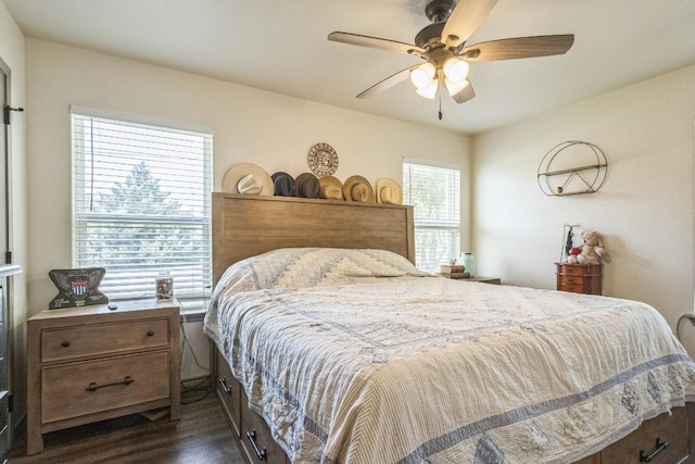2008 Paige St, Georgetown, TX 78626 - bedroom featuring dark wood-style floors and ceiling fan