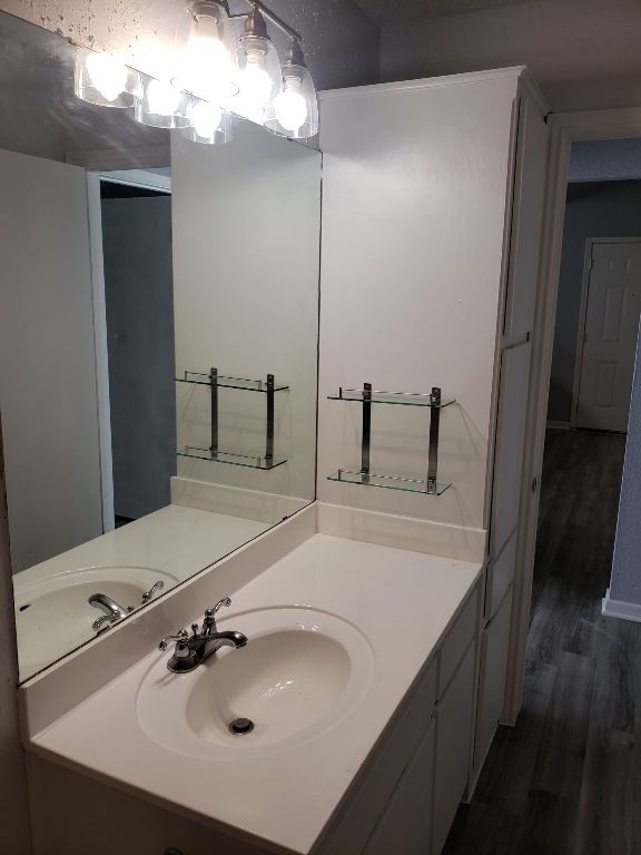 1221 W Hopkins St Unit 11, San Marcos, TX 78666 - bathroom with wood finished floors and vanity