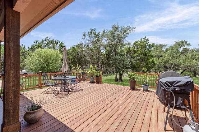 102 Eagle Valley Ln, Liberty Hill, TX 78642 - photo 29