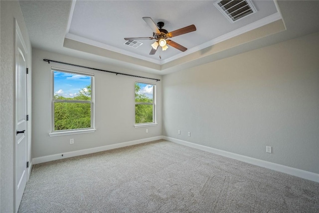 1621 Angolo, New Braunfels, TX 78132 - unfurnished room with a raised ceiling, a ceiling fan, ornamental molding, and carpet