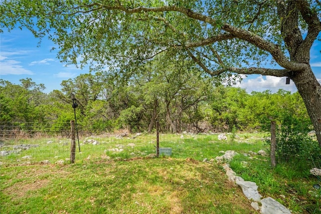 1621 Angolo, New Braunfels, TX 78132 - view of yard featuring a forest view