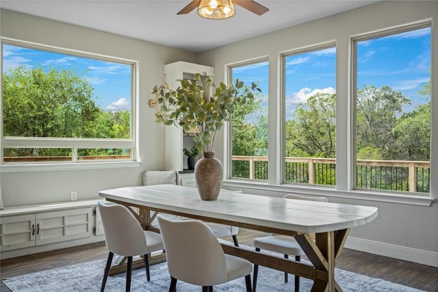 1621 Angolo, New Braunfels, TX 78132 - dining room featuring ceiling fan and wood finished floors