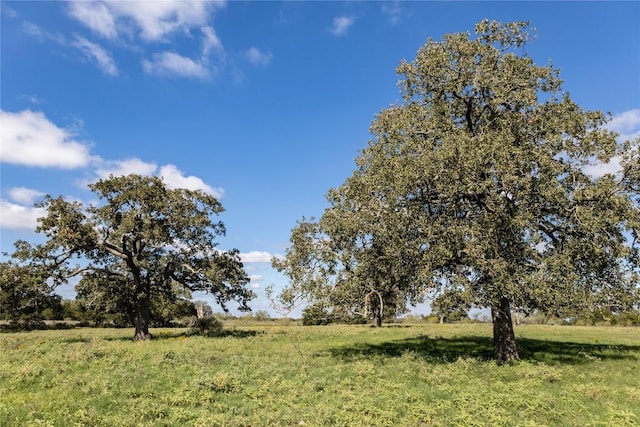 TBDLOT1 Zack Ln, Smithville, TX 78957