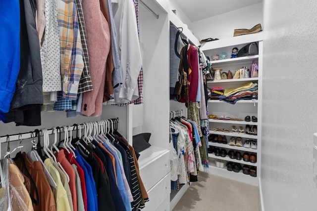 123 Zacate St, Elgin, TX 78621 - view of walk in closet