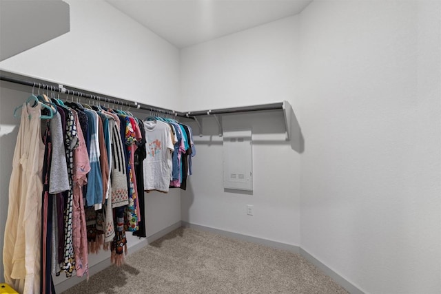 253 Centuryplant Rd, Leander, TX 78641 - photo 19