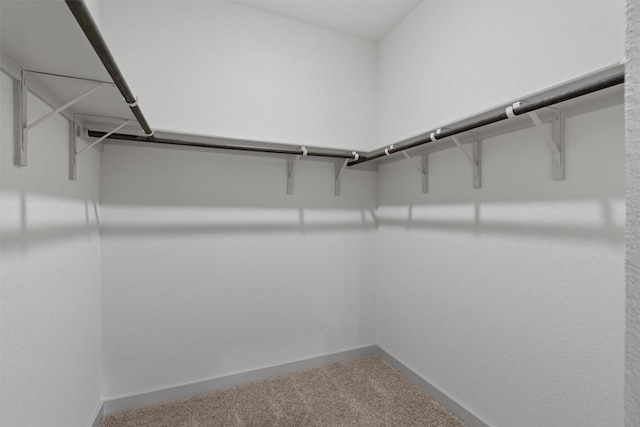 253 Centuryplant Rd, Leander, TX 78641 - photo 20