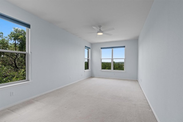 8204 Texas Plume Rd, Austin, TX 78759 - photo 35
