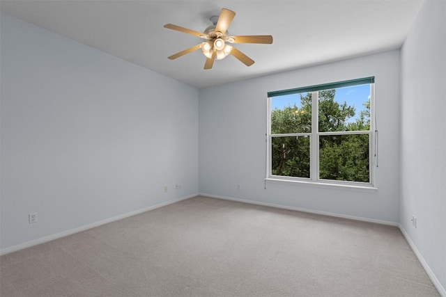 8204 Texas Plume Rd, Austin, TX 78759 - photo 29