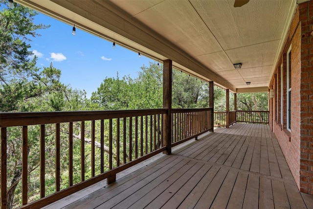 8204 Texas Plume Rd, Austin, TX 78759 - photo 6
