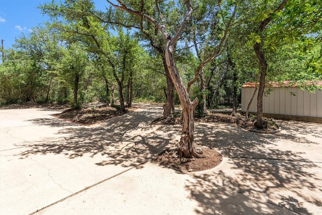 8204 Texas Plume Rd, Austin, TX 78759 - photo 11