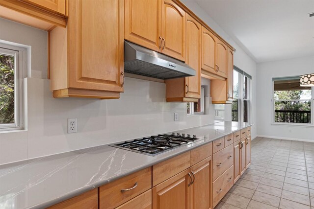 8204 Texas Plume Rd, Austin, TX 78759 - photo 18