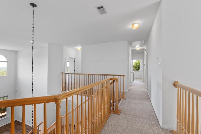 8204 Texas Plume Rd, Austin, TX 78759 - photo 23