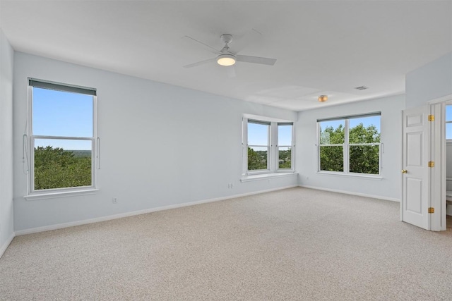 8204 Texas Plume Rd, Austin, TX 78759 - photo 24