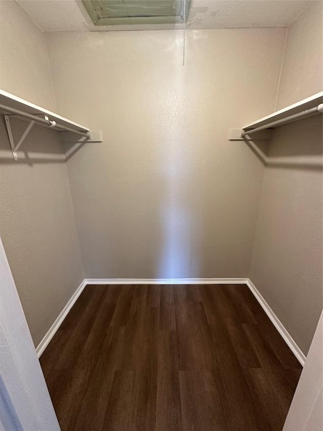 1210 Hi Stirrup Unit 201, Horseshoe Bay, TX 78657 - walk in closet with dark wood finished floors