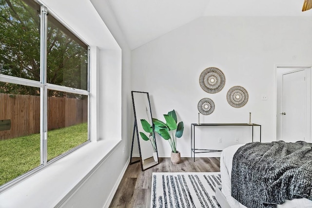 800 Saunders Dr, Round Rock, TX 78664 - bedroom with lofted ceiling and wood finished floors