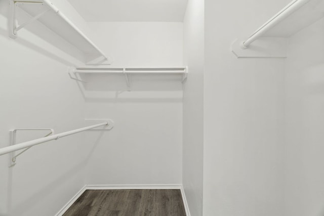 800 Saunders Dr, Round Rock, TX 78664 - spacious closet with dark wood finished floors