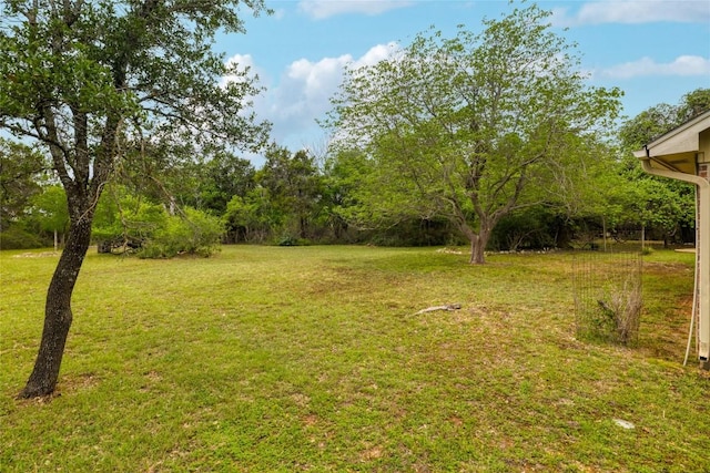 133 Lakewood Trl, Leander, TX 78641 - photo 36