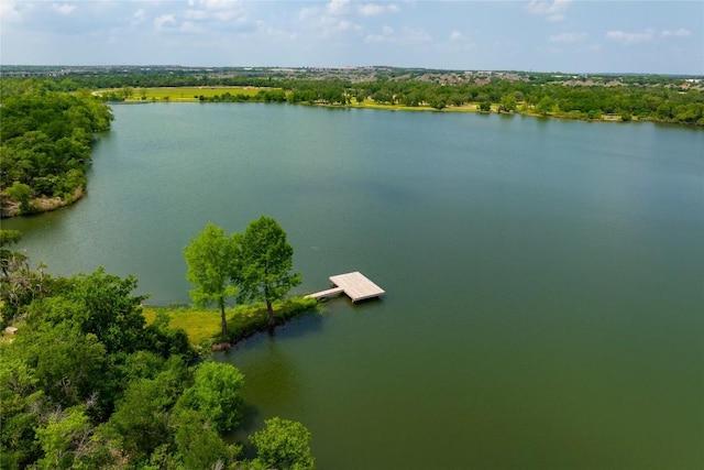 133 Lakewood Trl, Leander, TX 78641 - photo 6
