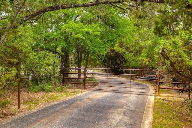 133 Lakewood Trl, Leander, TX 78641 - photo 5