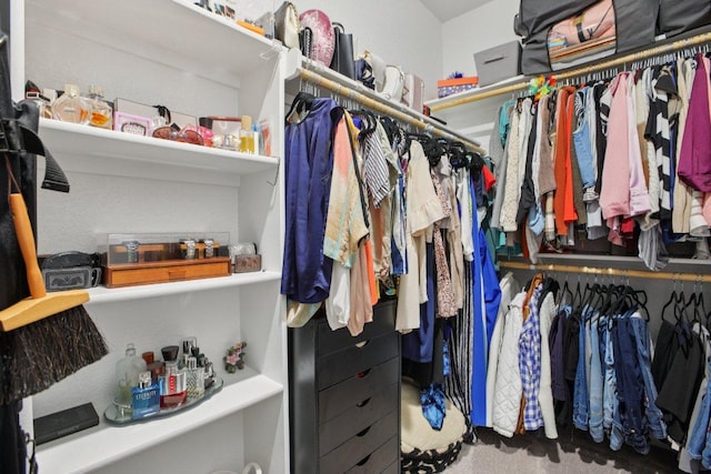 5106 La Piedra Ln, Killeen, TX 76549 - view of spacious closet