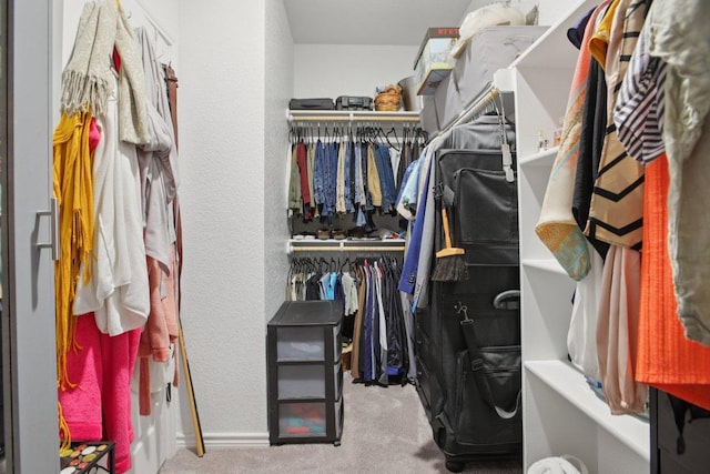 5106 La Piedra Ln, Killeen, TX 76549 - walk in closet with carpet flooring
