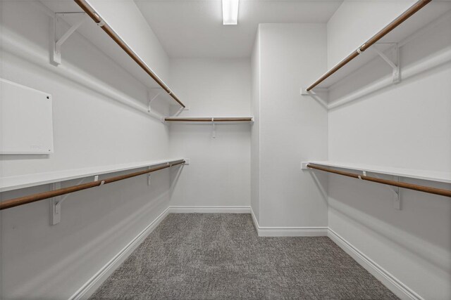 105 Quiet Oak Cv, Liberty Hill, TX 78642 - spacious closet with carpet