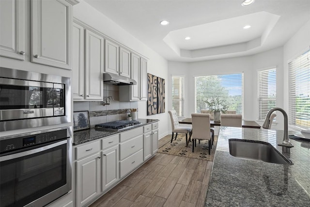 105 Quiet Oak Cv, Liberty Hill, TX 78642 - kitchen featuring stainless steel appliances, recessed lighting, healthy amount of natural light, under cabinet range hood, and a tray ceiling