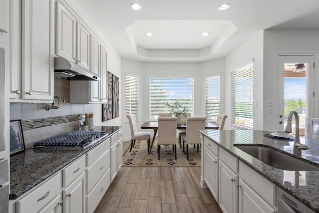 105 Quiet Oak Cv, Liberty Hill, TX 78642 - kitchen featuring under cabinet range hood, appliances with stainless steel finishes, white cabinets, a tray ceiling, and wood finished floors