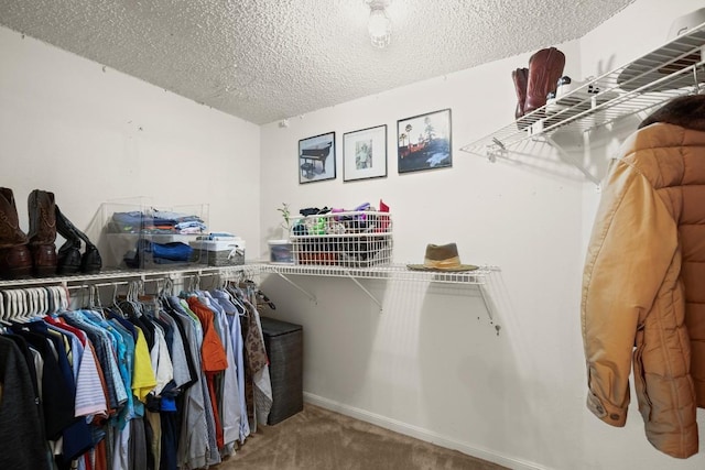11603 Buttonwood Dr, Austin, TX 78759 - photo 18