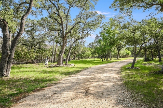 761 Days End Rd, Wimberley, TX 78676 - photo 2