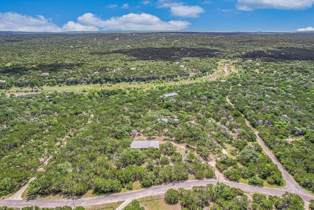 761 Days End Rd, Wimberley, TX 78676 - photo 34