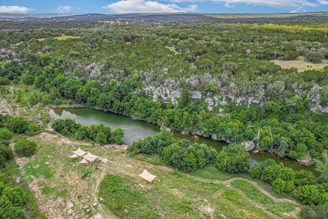 761 Days End Rd, Wimberley, TX 78676 - photo 37