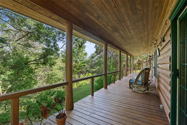 301 Wilson Creek Cir, Wimberley, TX 78676 - photo 24