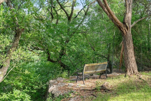 301 Wilson Creek Cir, Wimberley, TX 78676 - photo 37