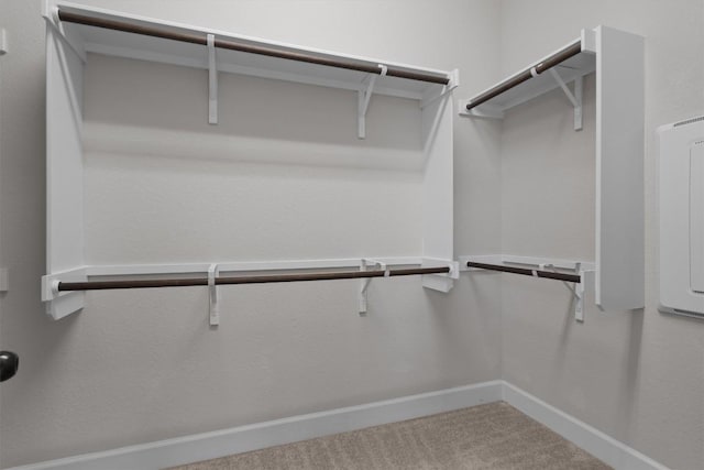 416 Hereford Loop, Hutto, TX 78634 - walk in closet with carpet floors