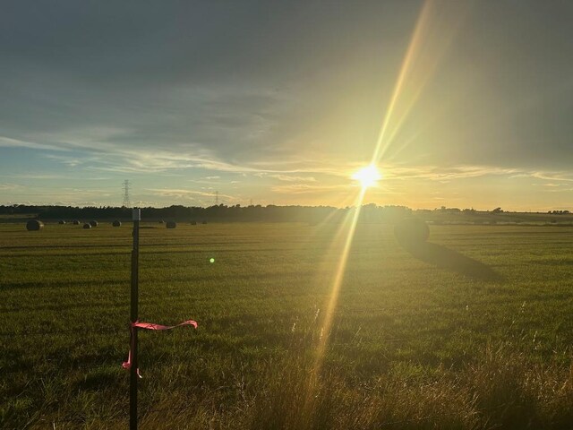 8038 Ohnheiser Kaase Rd, La Grange, TX 78945 - photo 5