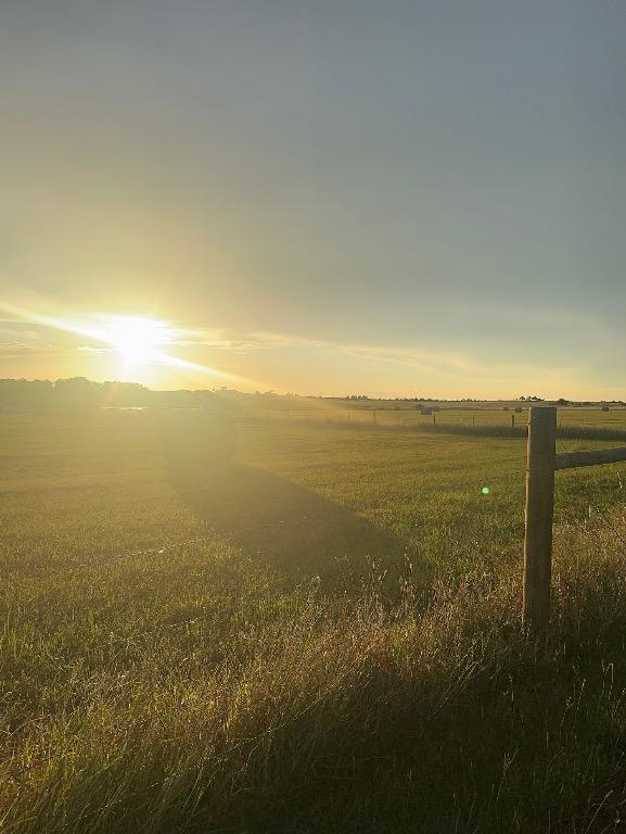 8038 Ohnheiser Kaase Rd, La Grange, TX 78945 - photo 8