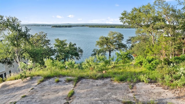 405 Blue Mountain Trl, Horseshoe Bay, TX 78657 - photo 29