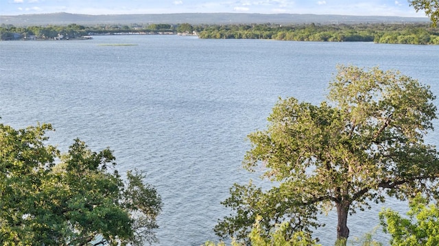 405 Blue Mountain Trl, Horseshoe Bay, TX 78657 - photo 3