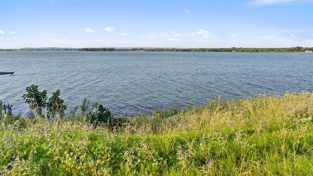 405 Blue Mountain Trl, Horseshoe Bay, TX 78657 - photo 9