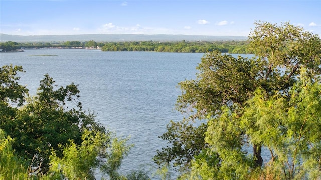 405 Blue Mountain Trl, Horseshoe Bay, TX 78657 - photo 23