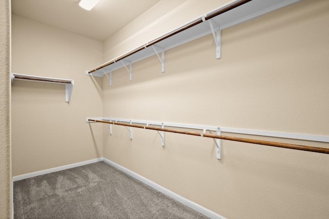11704 Palisades Pkwy, Austin, TX 78732 - spacious closet with carpet flooring