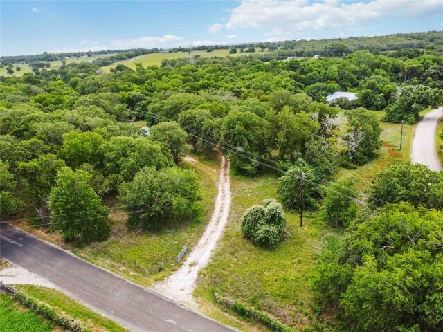 275 Old Lexington Rd, Elgin, TX 78621 - photo 6
