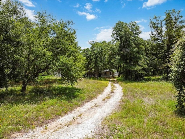 275 Old Lexington Rd, Elgin, TX 78621 - photo 12