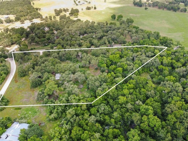 275 Old Lexington Rd, Elgin, TX 78621 - photo 2