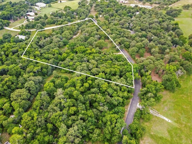 275 Old Lexington Rd, Elgin, TX 78621 - photo 3