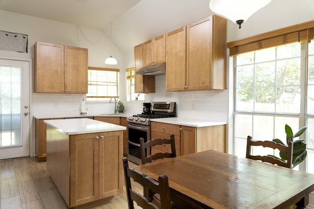 1805 Sequoia Dr, Leander, TX 78641 - kitchen featuring double oven range, under cabinet range hood, vaulted ceiling, tasteful backsplash, and light countertops