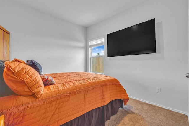2961 Brogan Crk, New Braunfels, TX 78130 - bedroom with carpet flooring and baseboards