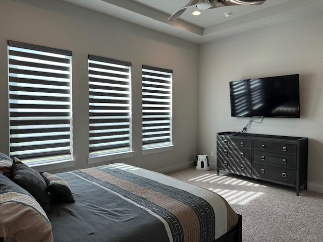 900 Elenora Dr, Leander, TX 78641 - bedroom with carpet floors